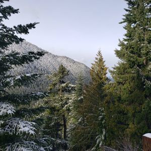 Meet your Posher, Chad